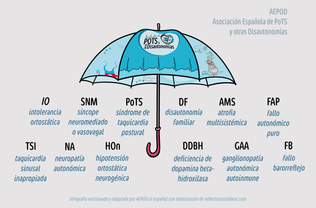 Infografía, fondo gris claro con un dibujo de un paraguas en tonos azules y el logo de AEPOD, el salero, neurona, y sinapsis. Debajo del paraguas, los acrónimos de distintas formas de disautonomía, y debajo el nombre completo: IO, intolerancia ortostática; SNM, síncope neuromediado; PoTS, síndrome de taquicardia postural; TSI, taquicardia sinusal inapropiada; NA, neuropatía autonómica; HOn, hipotensión ortostática neurogénica; DF, disautonomía familiar; AMS, atrofia multisistémica; FAP, fallo autonómico puro; DDBH, deficiencia de dopamina beta-hidroxilasa; GAA, ganglionopatía autonómica autoinmune; FB, Fallo barorreflejo.