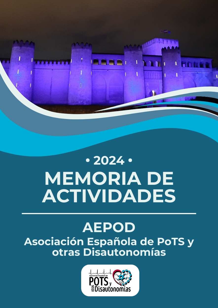 Portada del PDF de la Memoria de Actividades de 2024 con la foto del Palacio de la Aljafería de Zaragoza de noche iluminado de azul por la campaña de Octubre.